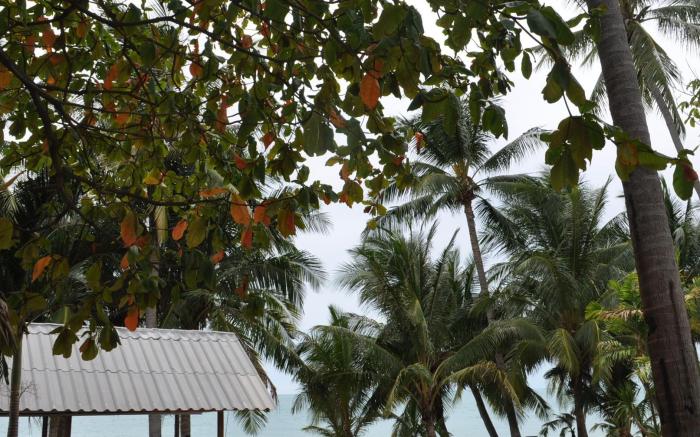 Astrococo Beach Resort by Coconut Beach