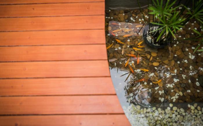 Le Terrarium Bed & Sleep Chiang Rai