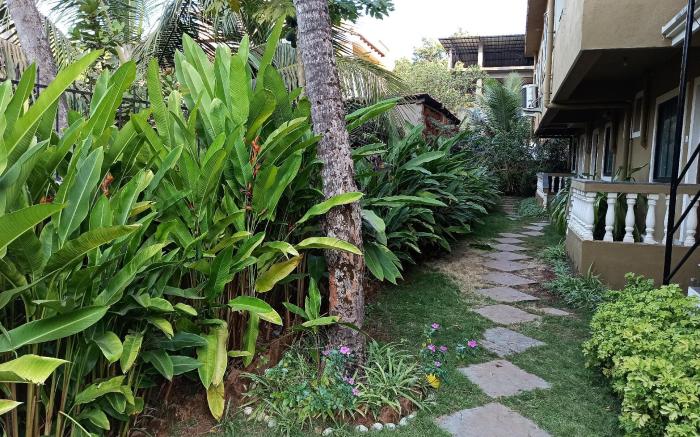 TGF Dream Guest House