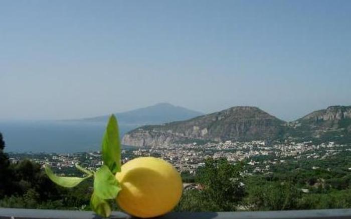 Gli Ulivi Agriturismo