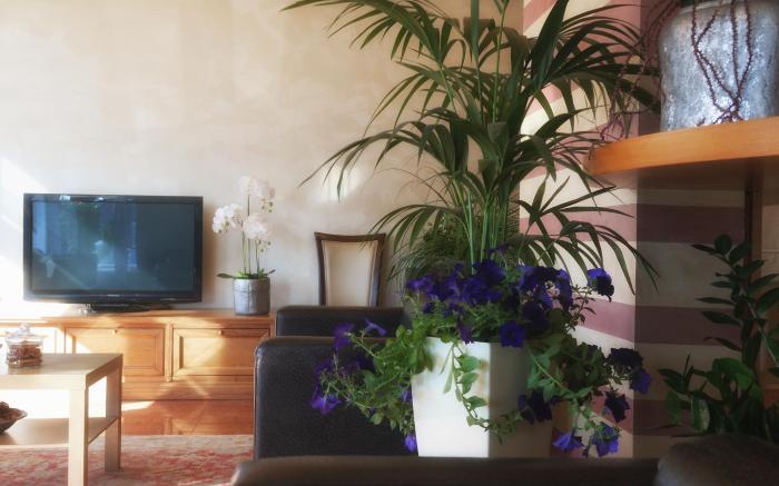 Hotel Vittoria