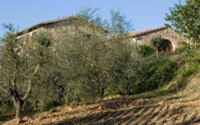 Wine Resort Dievole