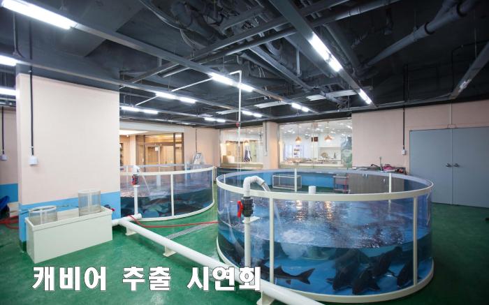 Cheongpyeong Family Hotel