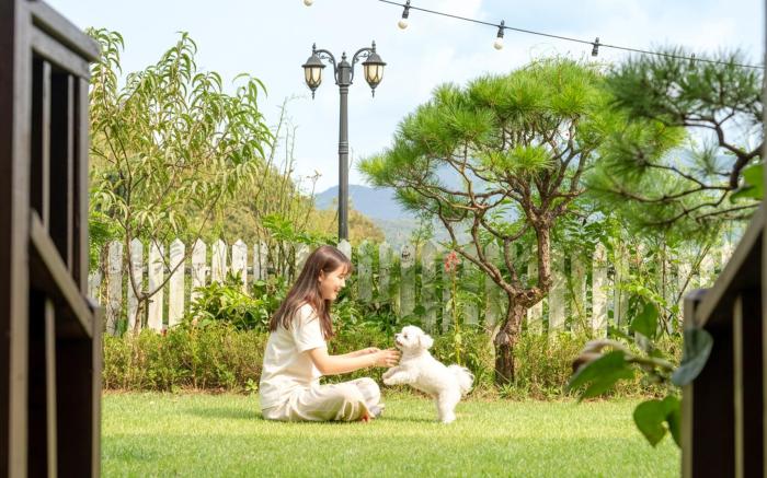 Gapyeong Art Pension