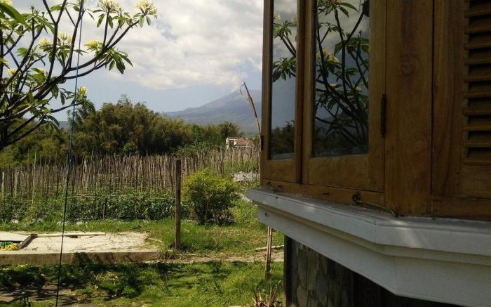 Shanty's House Villa