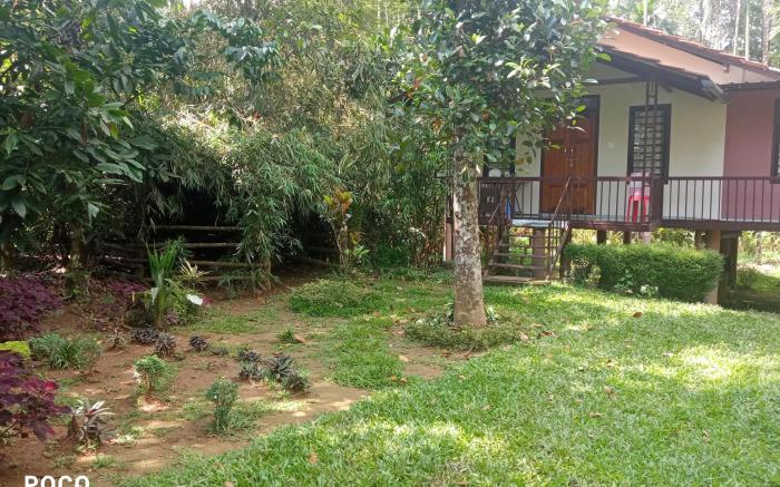 Family villa is a hut style accommodation