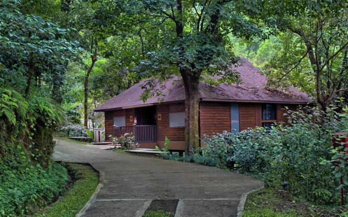 The Tamara Coorg