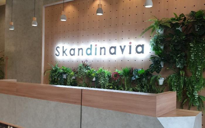 Cozy and Clean Apartemen Skandinavia