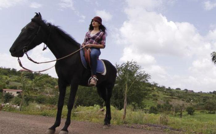 Grape County Eco Resorts