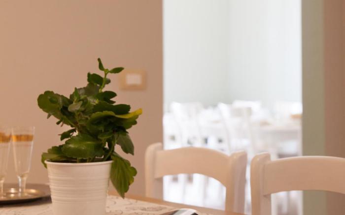 B&B il Leone Blu Catania Centro