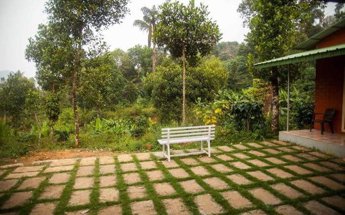 Yedamakky Plantations