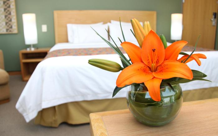 Holiday Inn Express Mexico Reforma By IHG