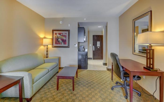 Holiday Inn Express Hotel & Suites Tampa-USF-Busch Gardens By IHG