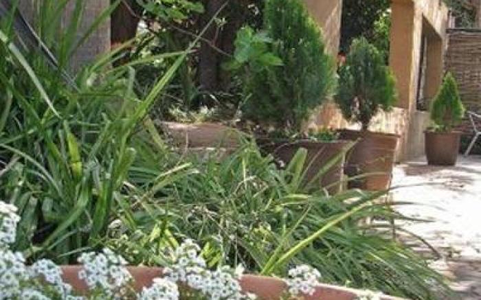 Constantia Manor Guest House