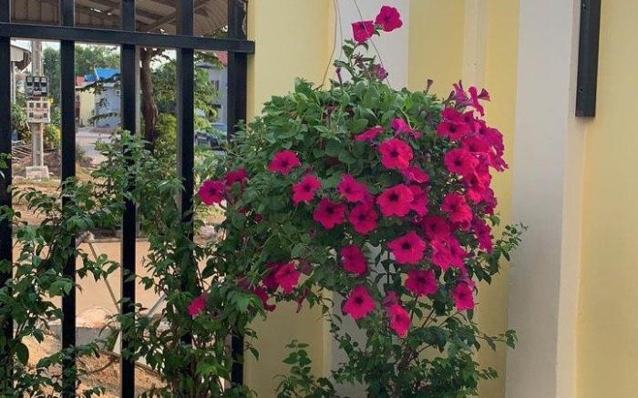 Arina Boutique Kampot