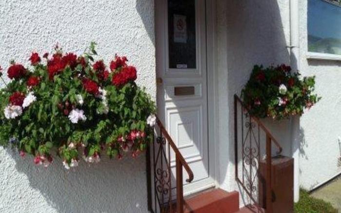 Belvedere Guest House, Great Yarmouth