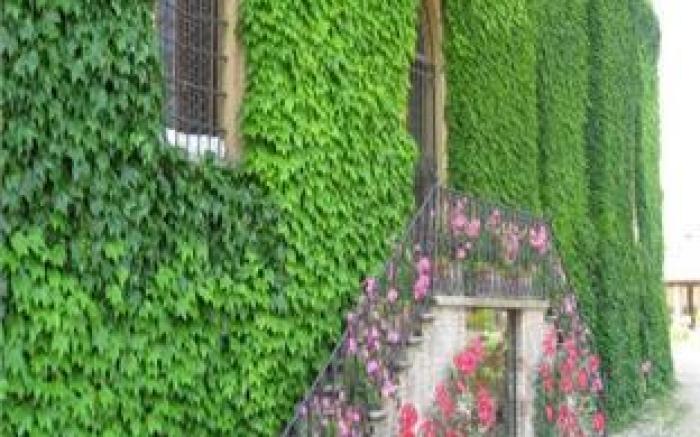 Il Castello Di San Gaudenzio