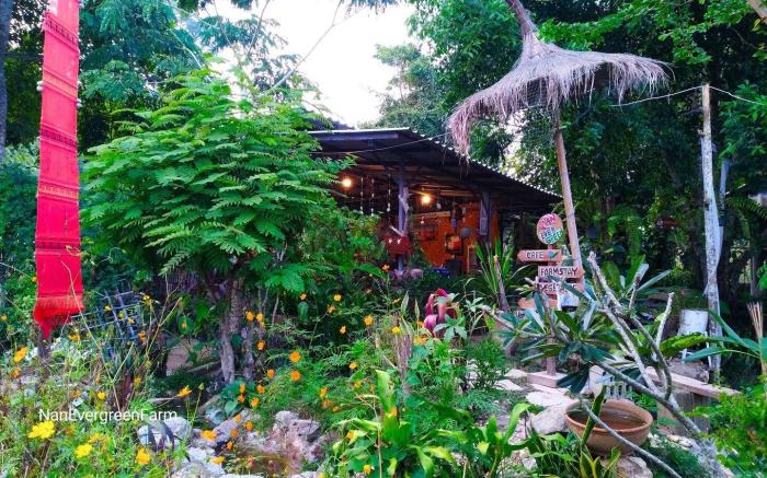 Nan Evergreen Countryhome