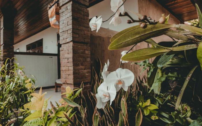 Sekar Arum Riverside Resort in Canggu