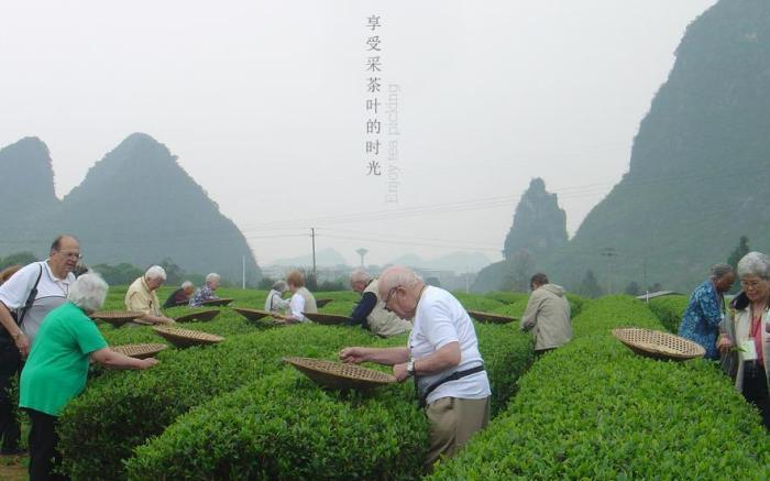 Aroma Tea House