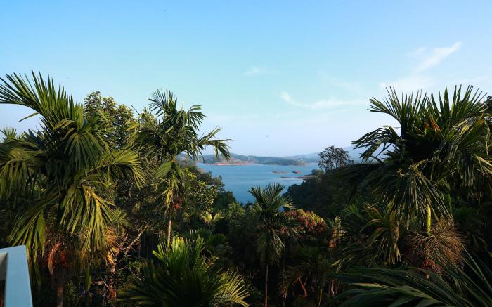 Bonita Banasura