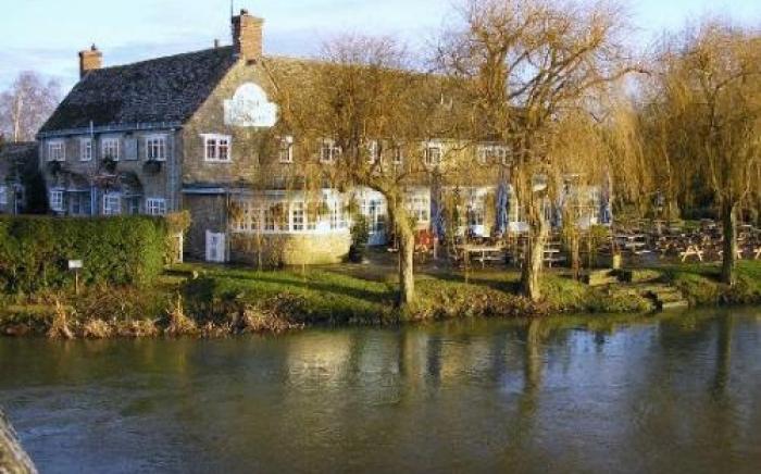 Rose Revived by Chef & Brewer Collection