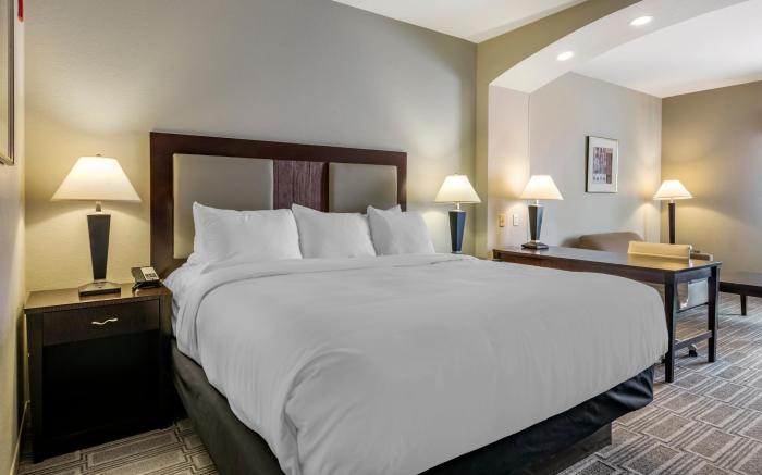 Comfort Inn & Suites Port Charlotte-Punta Gorda