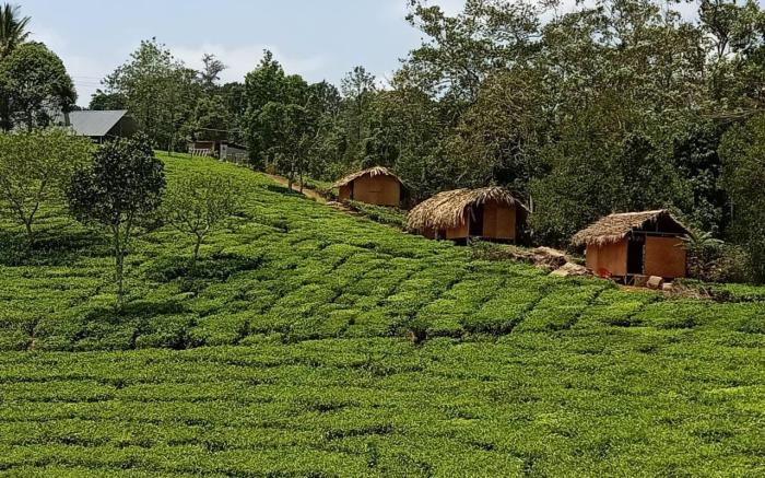 Eaglerock Holiday Villas 
