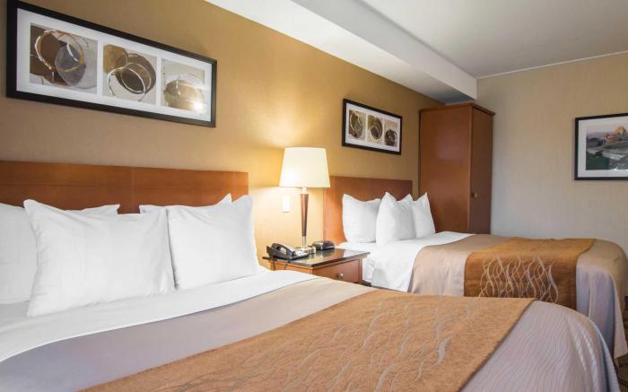 Comfort Inn Airport East