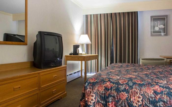 Econo Lodge By the Falls