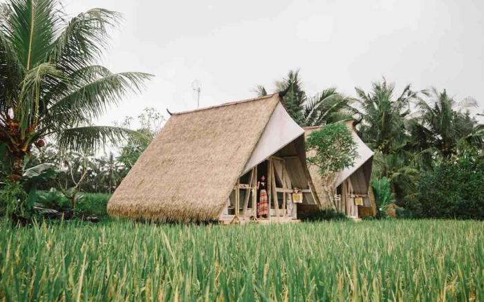 Beautiful Panoramic Rice Field - Segitiga Haus