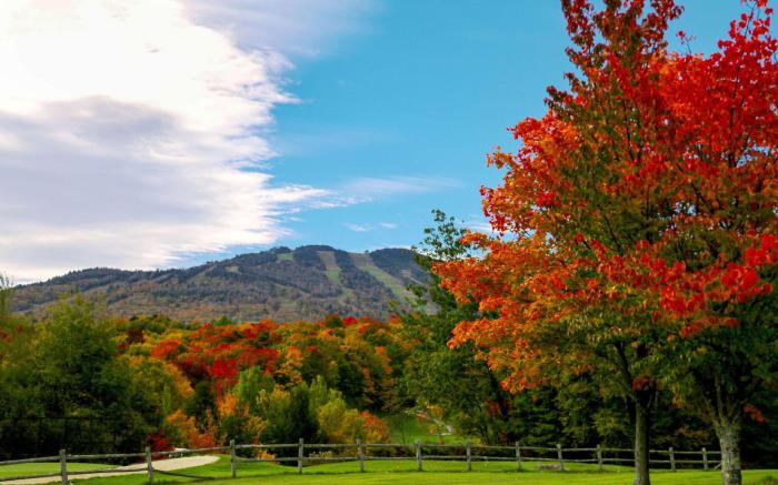 Killington Mountain Lodge, Tapestry