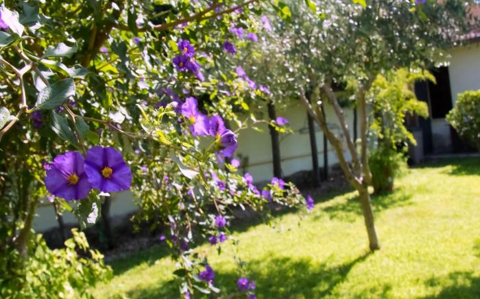 A casa tua Ostia Antica