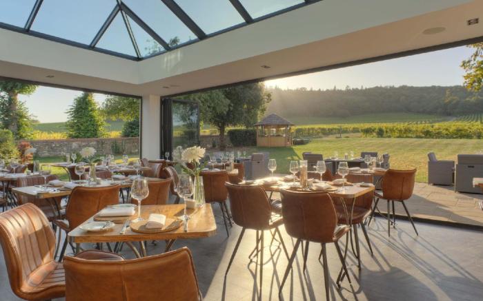 Denbies Vineyard Hotel