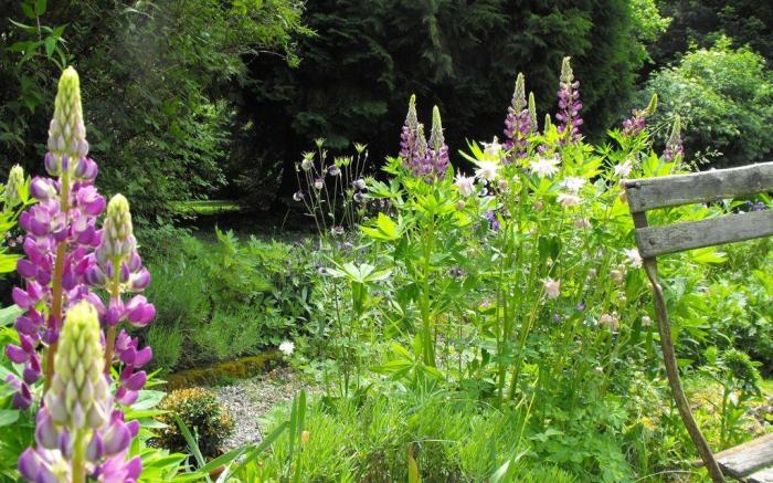 Chambres d'Hôtes la Maison de Juliette