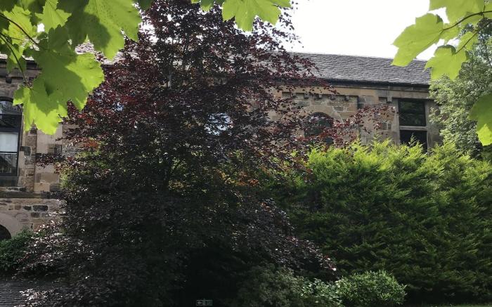 Ashtree House Hotel