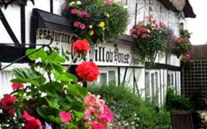 The Willow House
