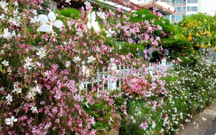 yeosu jeongweoniyebbeundogcae pensyeon