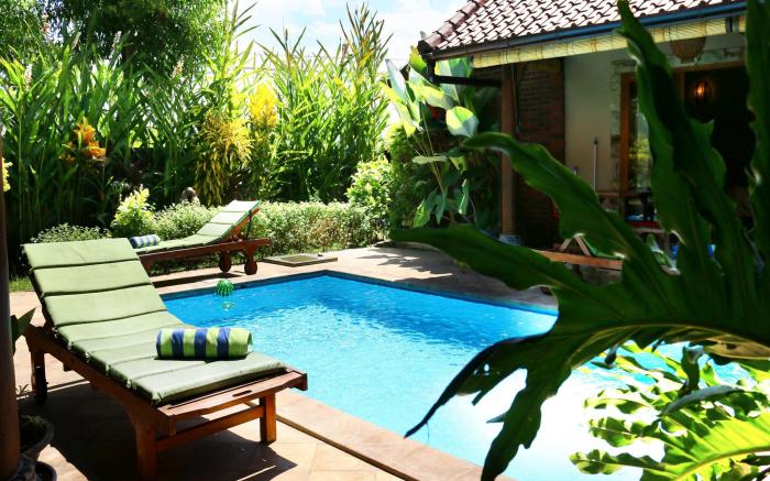 Dolphin at Lovina Beachhouse Villas