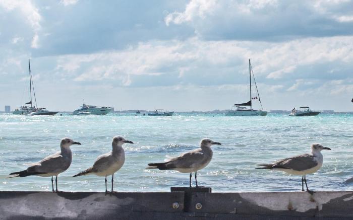Mia Reef Isla Mujeres All Inclusive