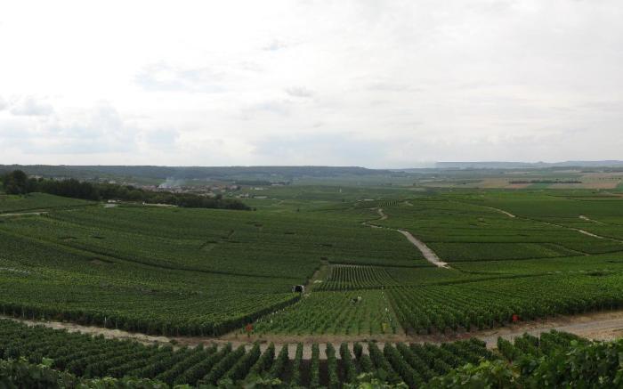 Domaine des Grattières