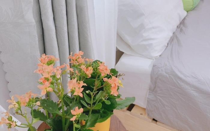 Yen Homestay Phu Yen - Private room - Double bed