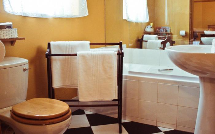 Mountain Manor Guest House and Executive Suites