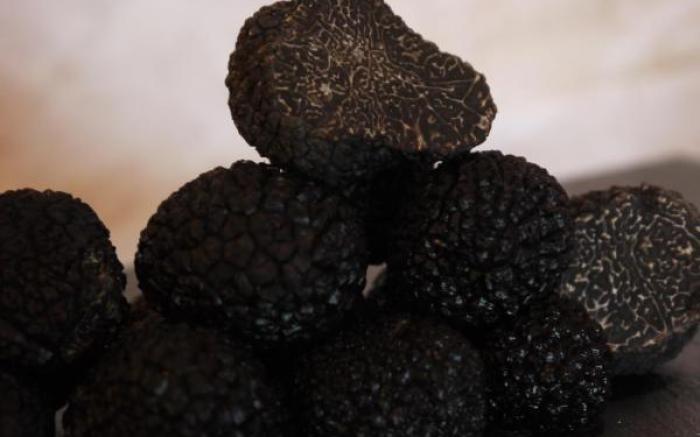 La Ferme les Eybrachas