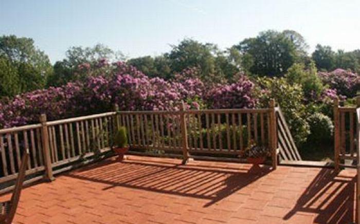 Gwyndra House B&B