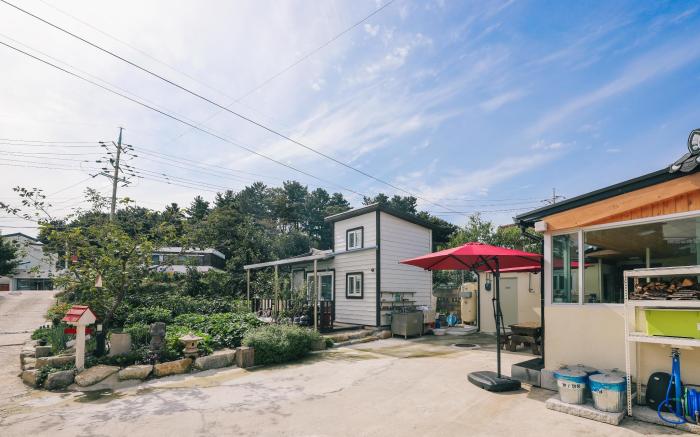 yangyang 62-9pensyeon