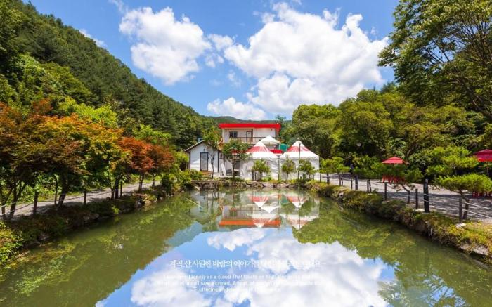 hongceon baelribyupensyeon