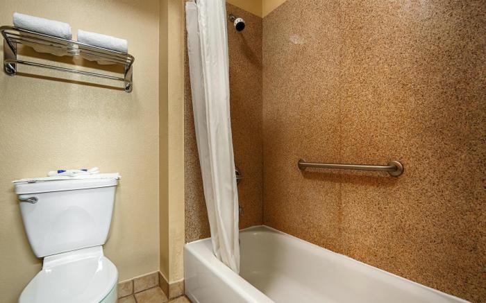 Best Western Windsor Pointe Hotel & Suites-Frost Bank Center