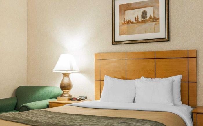 Comfort Inn Near Kokomo Speedway