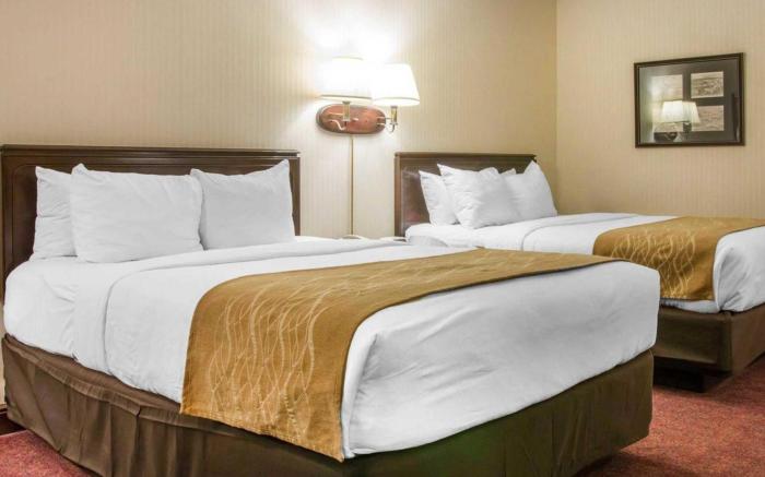 Comfort Inn Lakeside